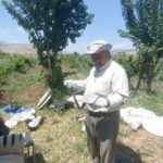 batmanda-bir-vatandas-yakaladigi-yilani-dogaya-birakti-mtC3pFFY.jpg