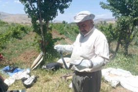 Kepez’den Demirel Mahallesi’nde 5 bin 170 metrelik sathi asfalt çalışması 1 thumbnail