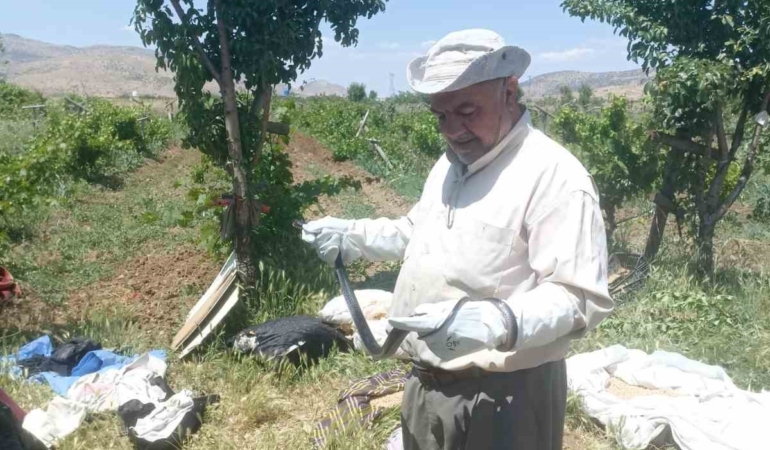 batmanda-bir-vatandas-yakaladigi-yilani-dogaya-birakti-mtC3pFFY.jpg