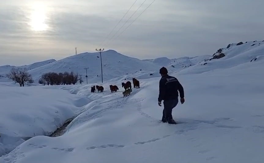 batmanda dagda mahsur kalan 6 katir kurtarildi 0 vZpTKd7I