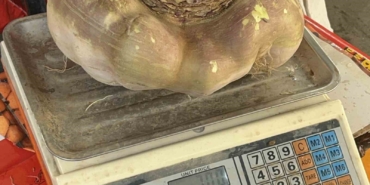 batmanda-dev-turp-gorenleri-sasirtti-nrR273yk.jpg