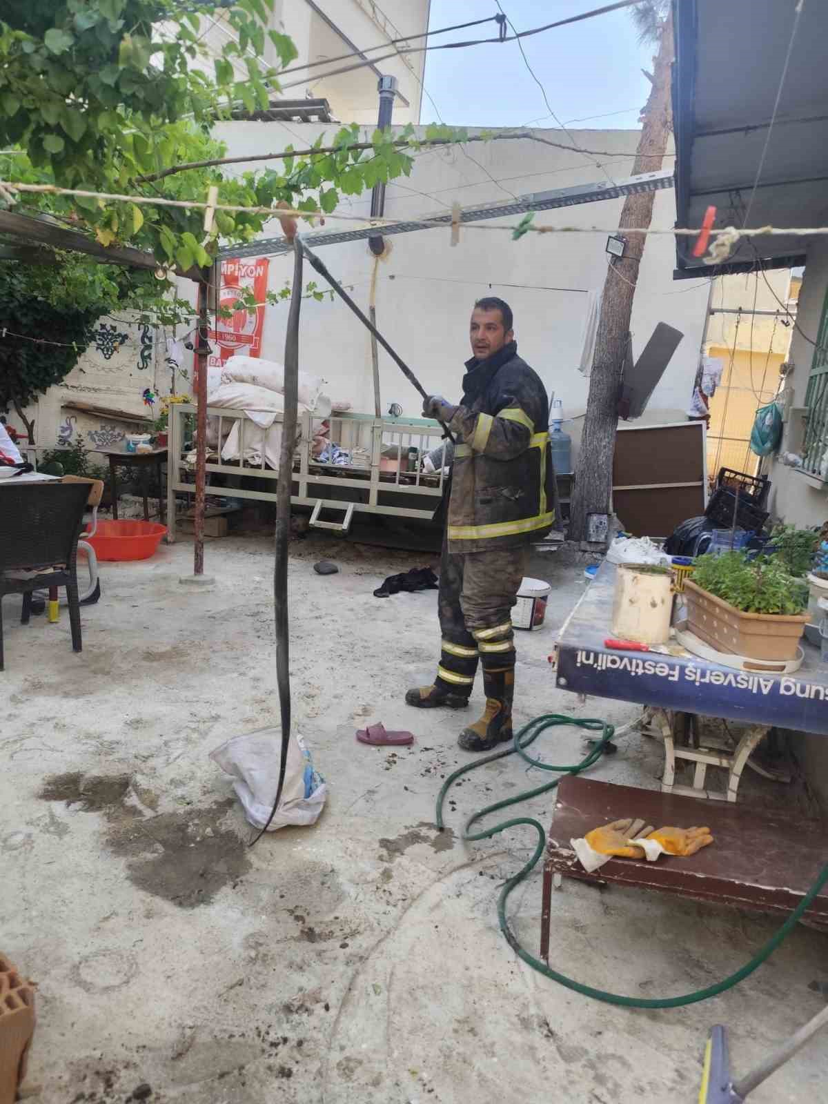 batmanda evin bahcesine giren yilan panige neden oldu 0 Hbcum2fD