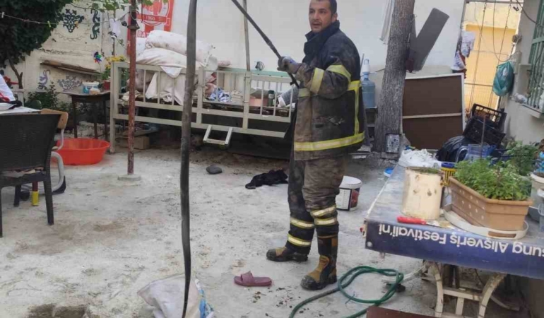 batmanda-evin-bahcesine-giren-yilan-panige-neden-oldu-vbzdLRmb.jpg