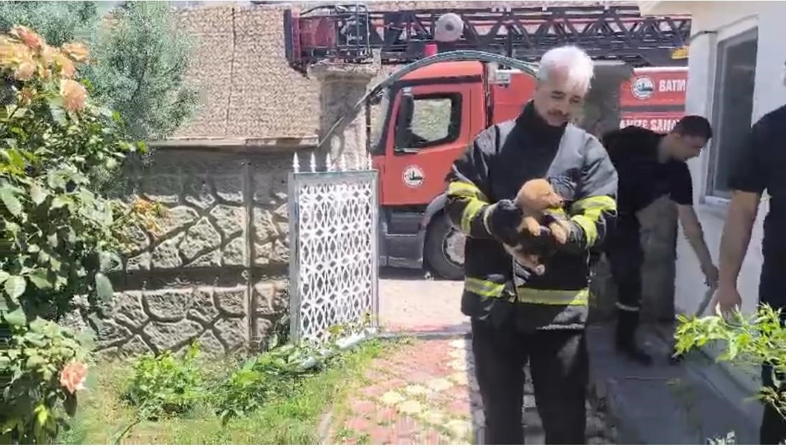 batmanda fabrika duvarina sikisan kopek kurtarildi isciler hayvani sahiplendi 0 YVf2XHWr