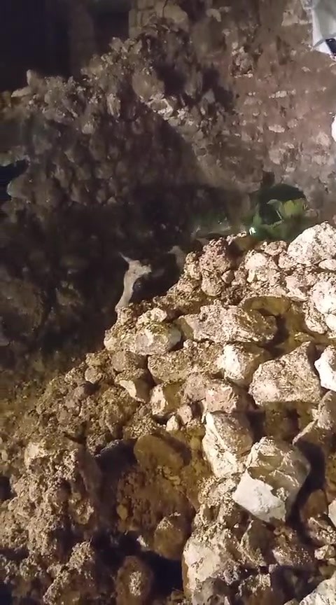 Batman’da fırtınada 2 katlı taş bina çöktü: Enkaz altında kalan 5 büyükbaş hayvan kurtarıldı 4 batmanda firtinada 2 katli tas bina coktu enkaz altinda kalan 5 buyukbas hayvan kurtarildi fe5BVaIc