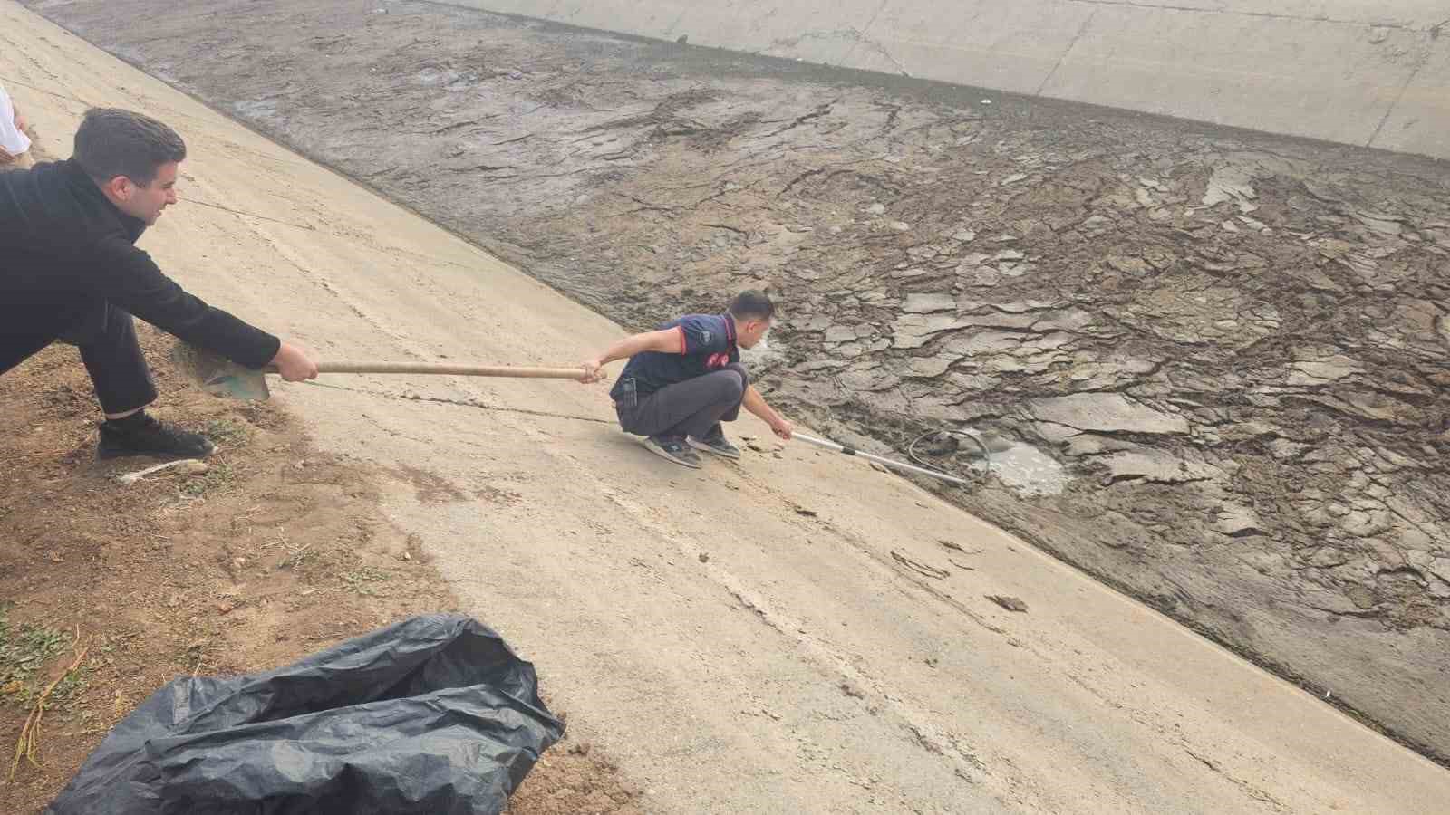 batmanda kanala dusen kopek itfaiye ekiplerince kurtarildi 0 uZGQZnib