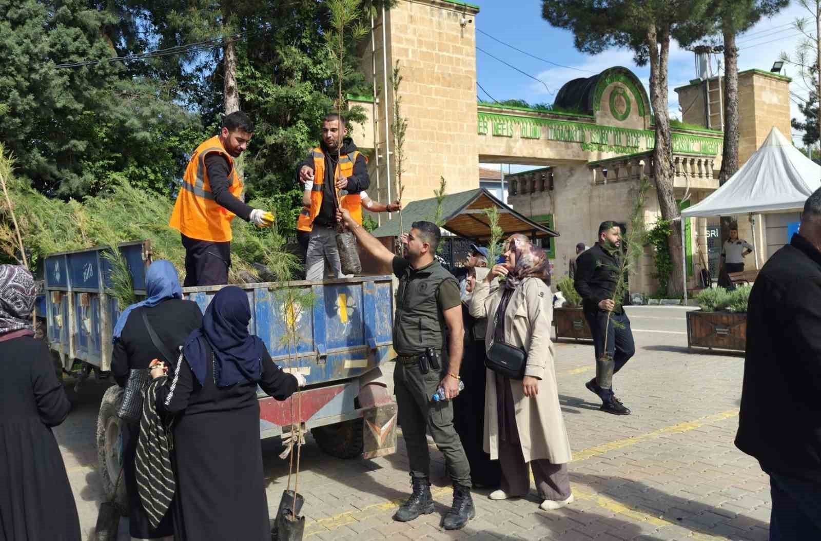 batmanda mezarliklarda gecmise vefa gelecege nefes projesi 2 aFqrV2nP