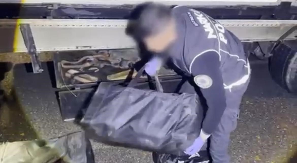 batmanda sehit alper albayrak operasyonu 35 kilo skunk 2 kilo esrar ele gecirildi 2 CEGTuTSA
