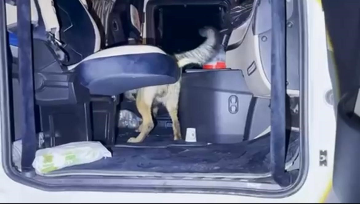 batmanda sehit alper albayrak operasyonu 35 kilo skunk 2 kilo esrar ele gecirildi 5 dv5sGYqh