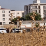batmanda-tir-otomobile-carpti-3-yarali-5JyEiIX7.jpg