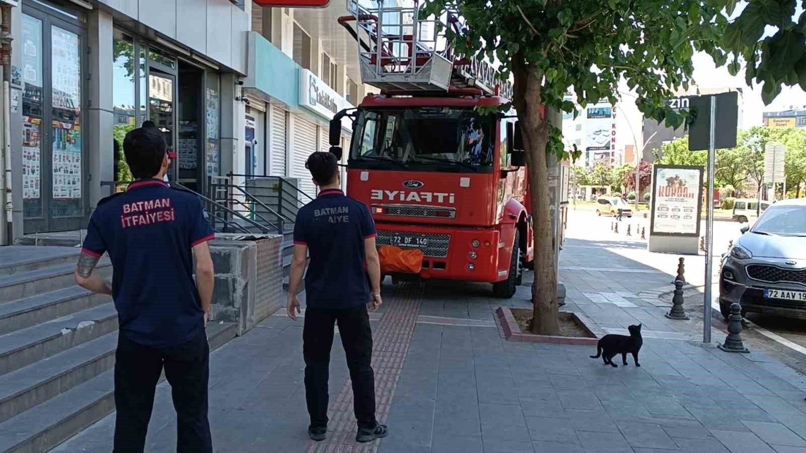 batmanda vefakar kedi arkadasini yalniz birakmadi 1 VP2ujIUI