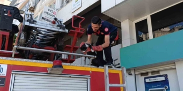 batmanda-vefakar-kedi-arkadasini-yalniz-birakmadi-f61rcTeV.jpg