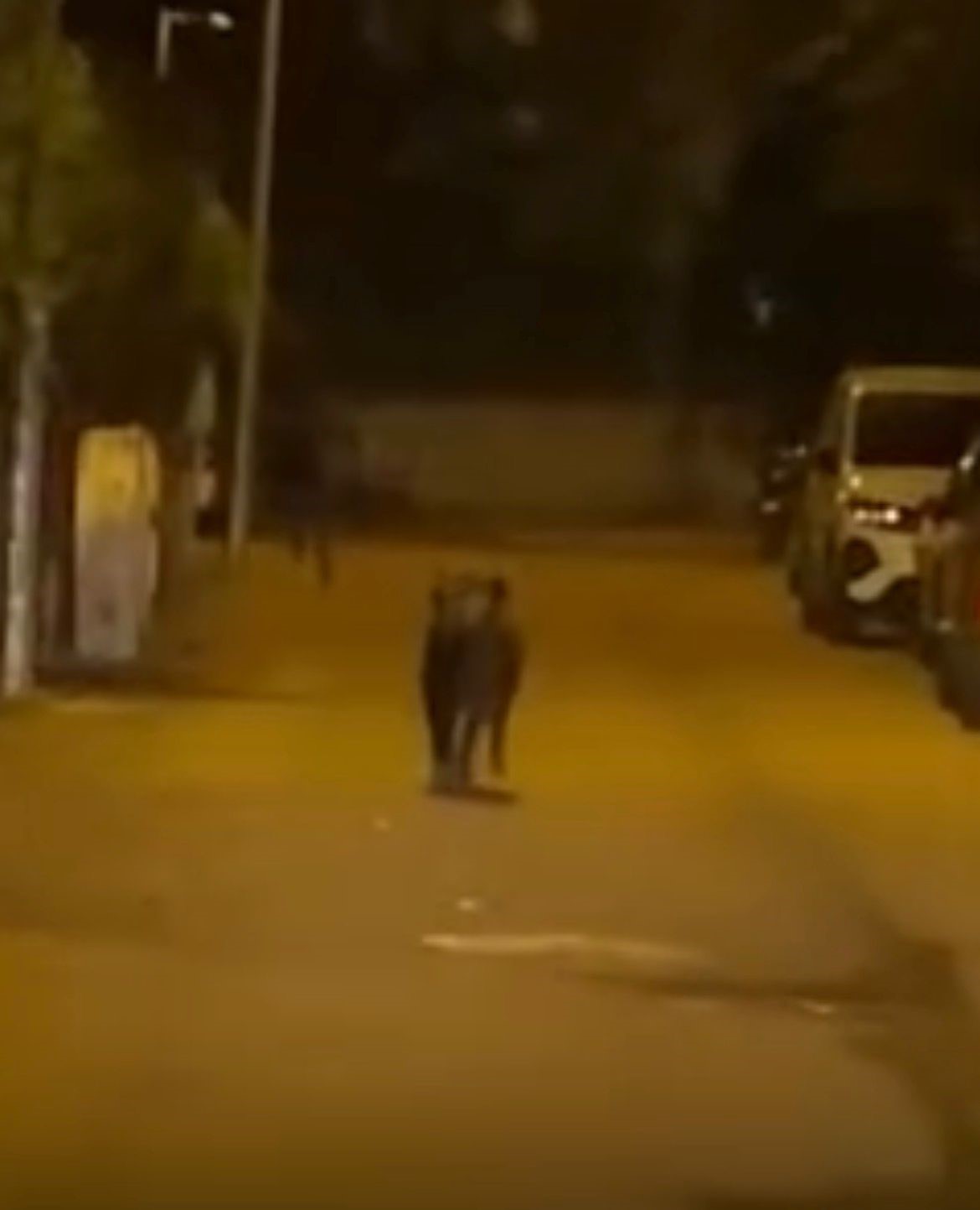 Batman’da yaban domuzunun yaraladığı 3 kişi taburcu edildi 6 batmanda yaban domuzunun yaraladigi 3 kisi taburcu edildi 2 3f4IMniE