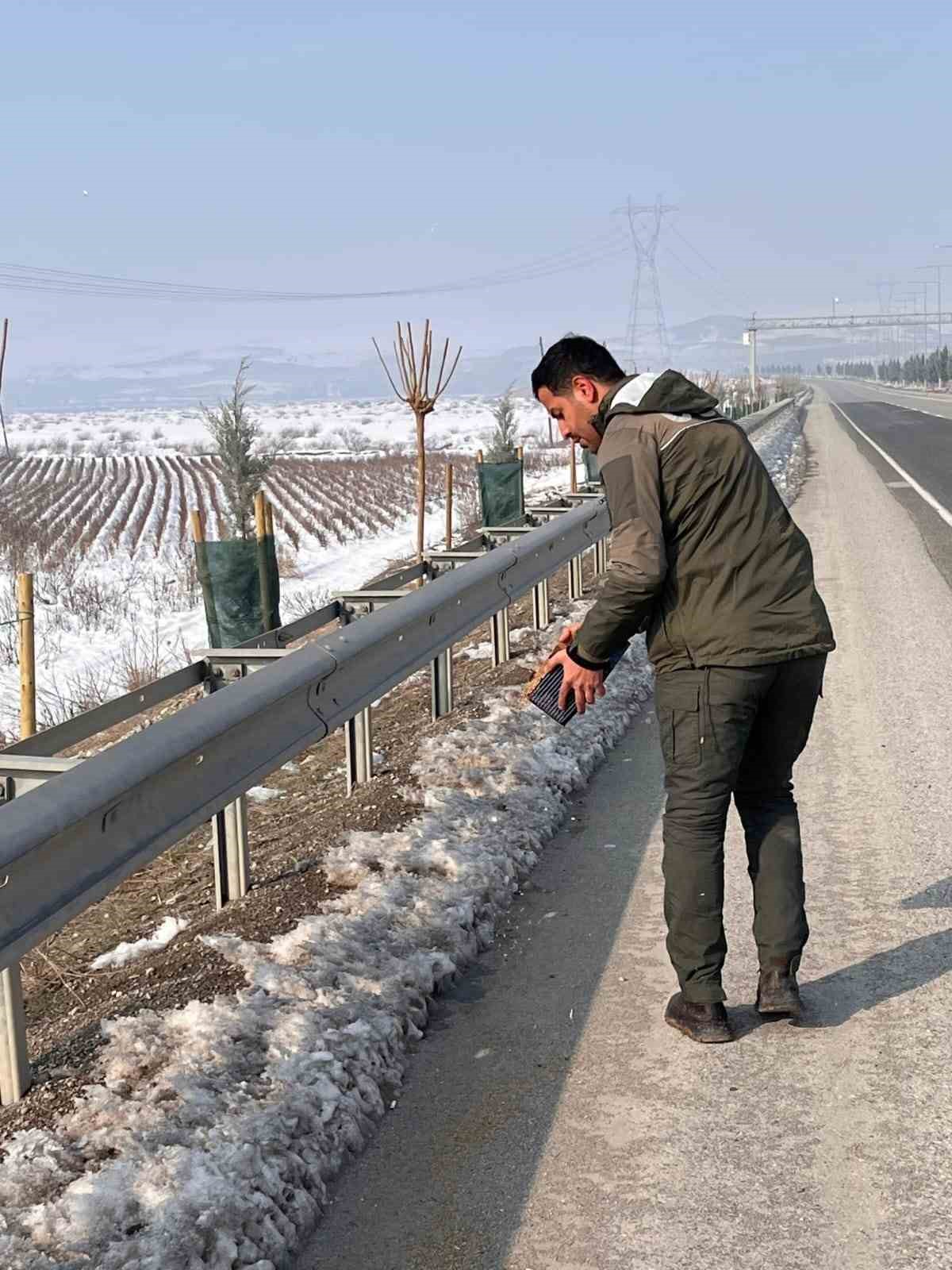 batmanda yaban hayati unutulmadi 2 FOfYgRa2