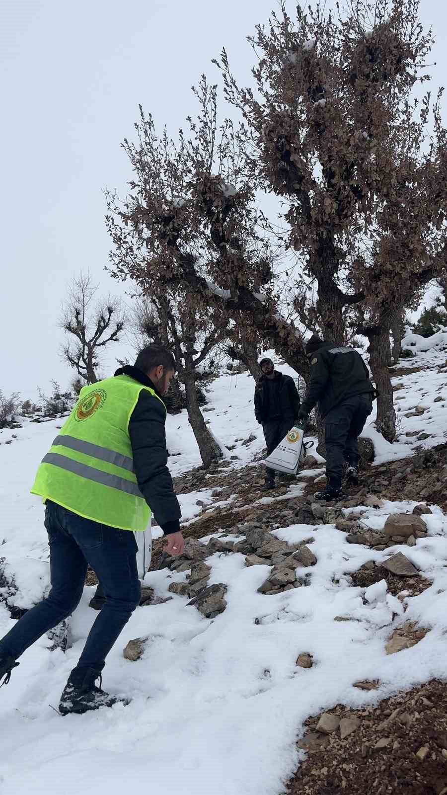 batmanda yaban hayati unutulmadi 4 ezVWrsjI