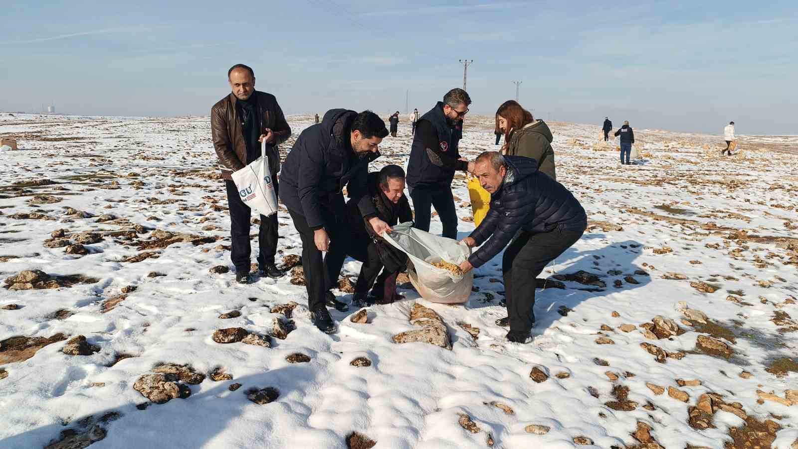 batmanda yaban hayvanlari icin dogaya yem birakildi 0