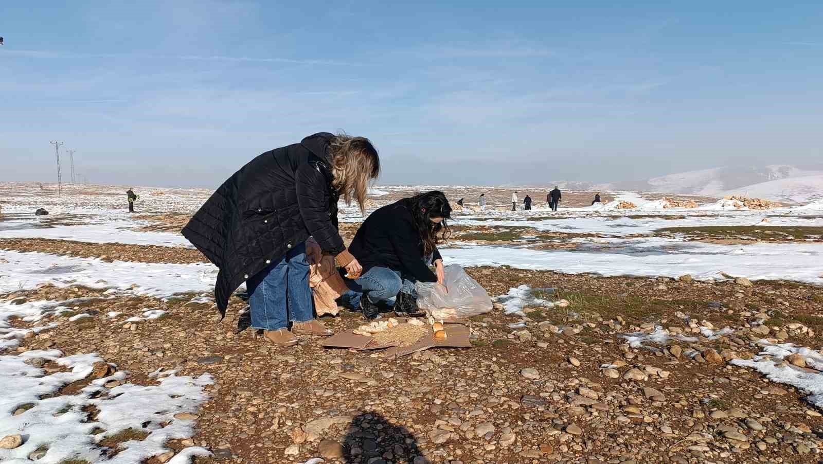 batmanda yaban hayvanlari icin dogaya yem birakildi 2 BUhfmTIz