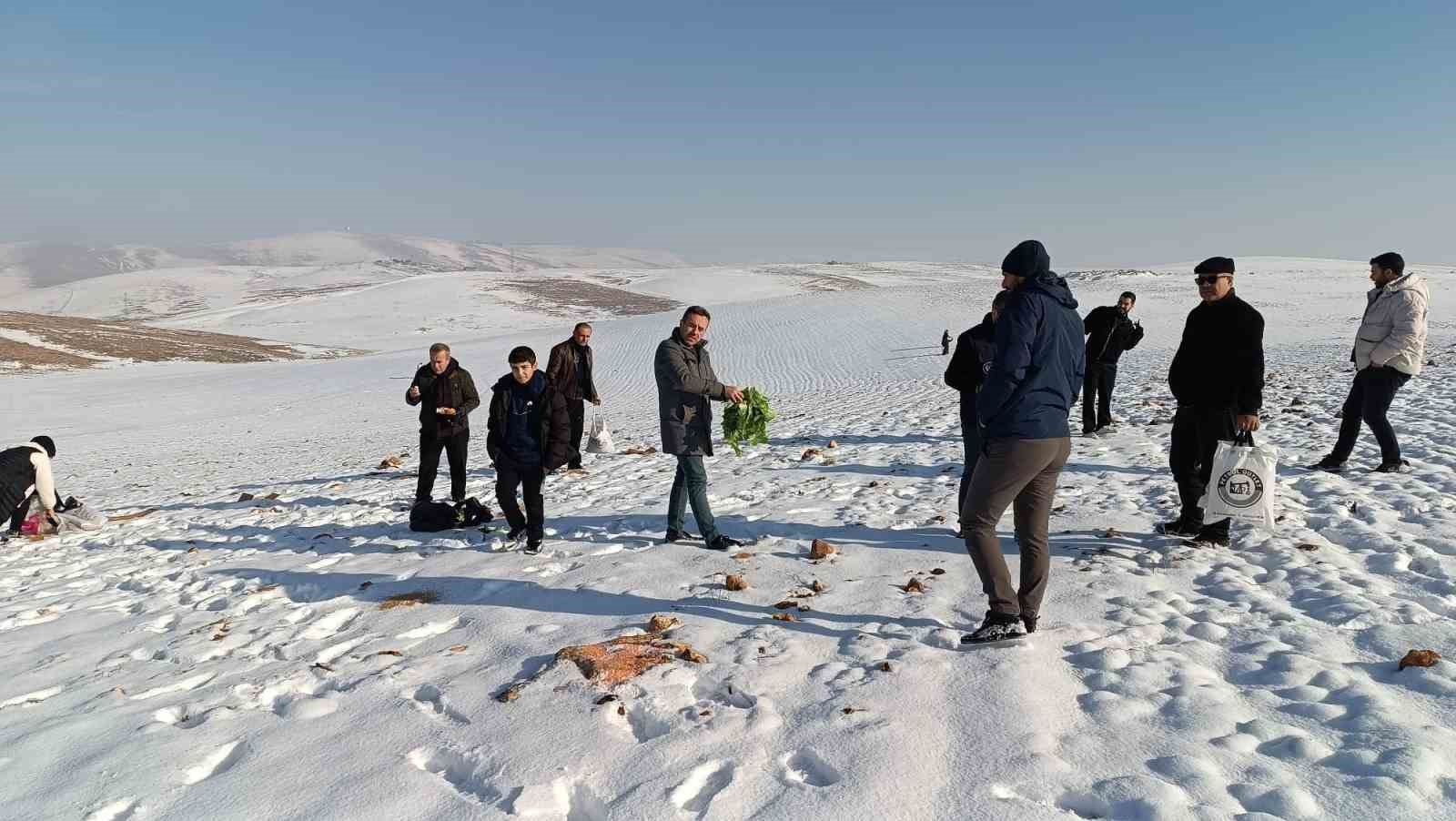 batmanda yaban hayvanlari icin dogaya yem birakildi 3 tdKV3PBI