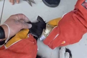 Gazipaşa Havalimanı’nda görevli polis memuru hayatını kaybetti 1 thumbnail