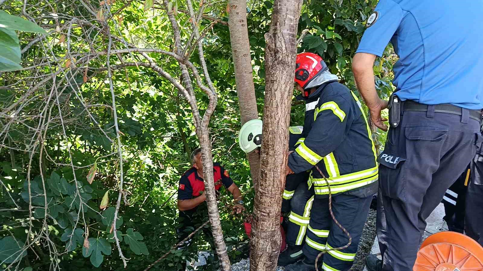 Baygınlık geçiren yaşlı adam çalılıklara düştü 7 bayginlik geciren yasli adam caliliklara dustu 3 KAifMT8z