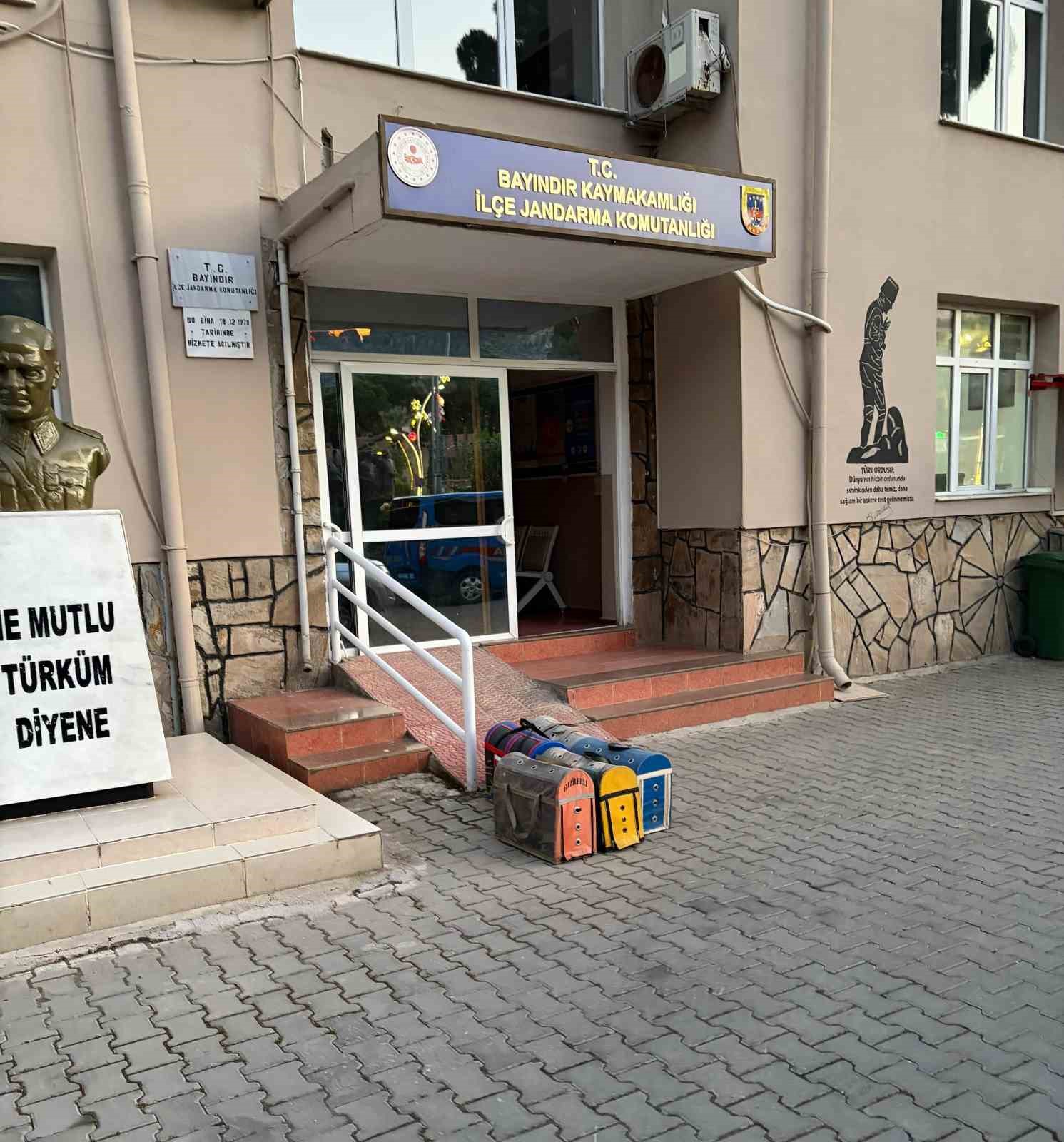 bayindirda yasa disi horoz dovusu operasyonu 3 gozalti 1 7vc8hdQy