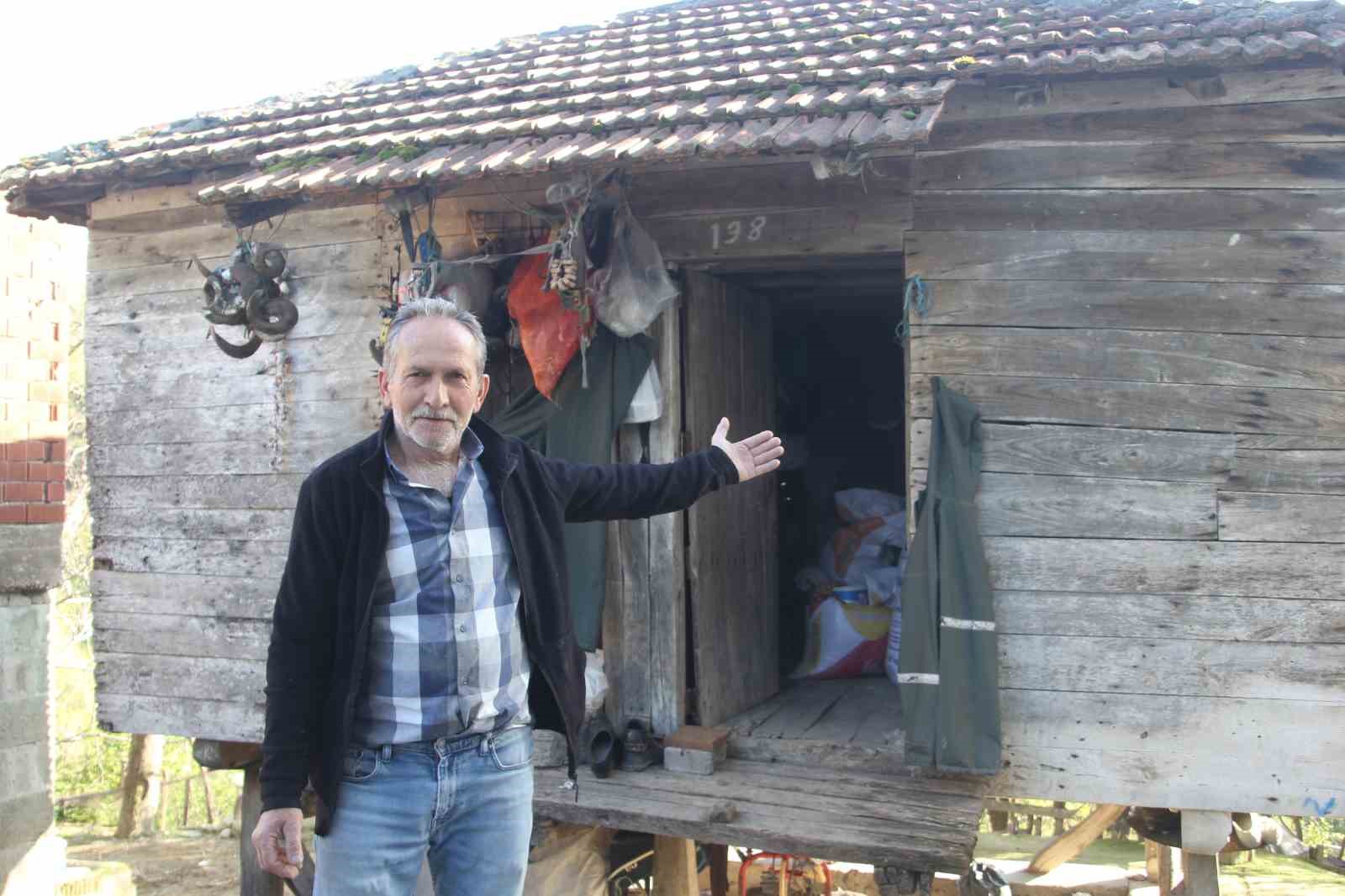 Baykuş ile çiftçinin 20 yıllık dostluğu: Her yıl aynı serendisine yuvalıyor 10 baykus ile ciftcinin 20 yillik dostlugu her yil ayni serendisine yuvaliyor 6 yq4UsfLs