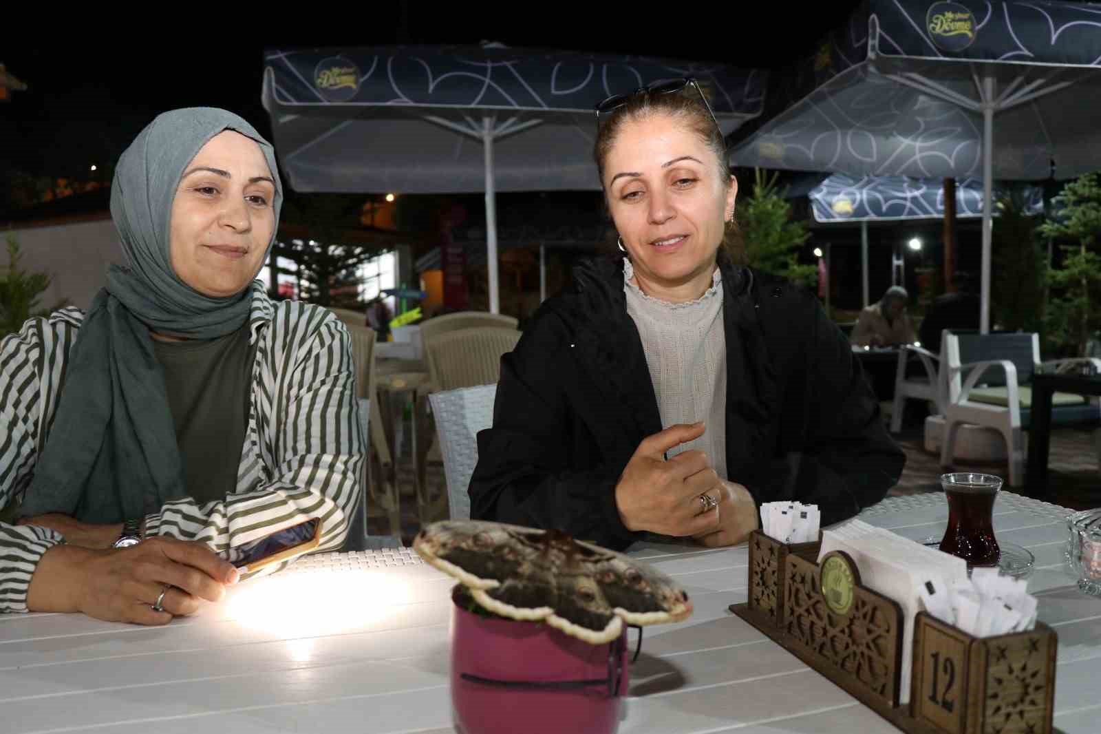 baykus kelebegi buyuklugu ile gorenleri hayrete dusurdu 2 jAl98FnS