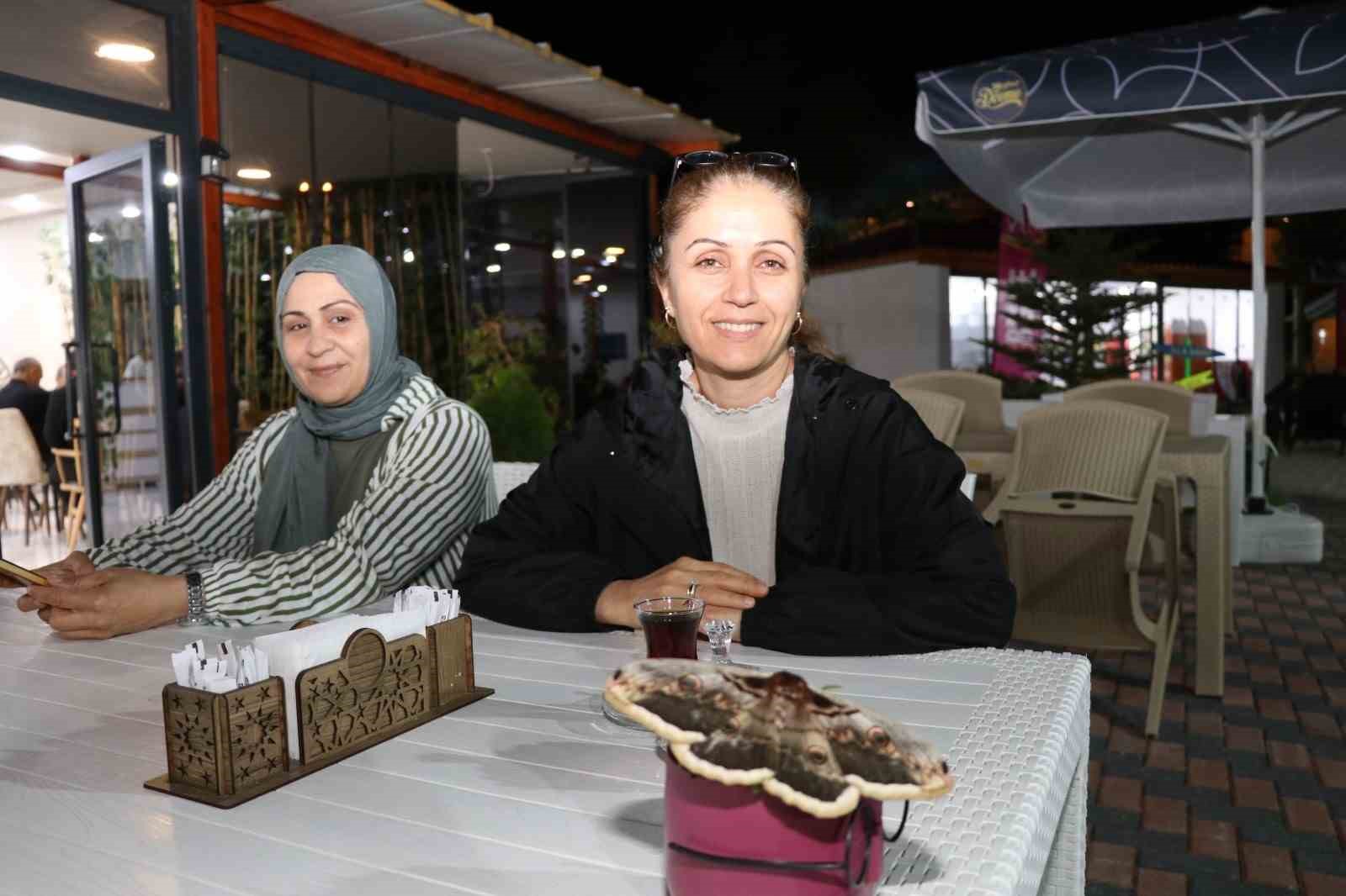 baykus kelebegi buyuklugu ile gorenleri hayrete dusurdu 3