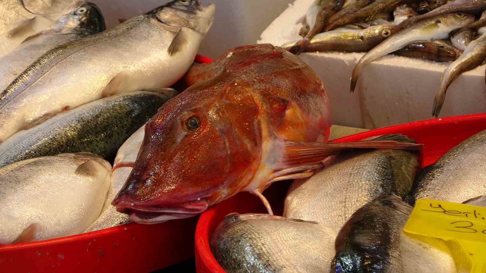 bayram oncesi balik tezgahlarinda bolluk 6