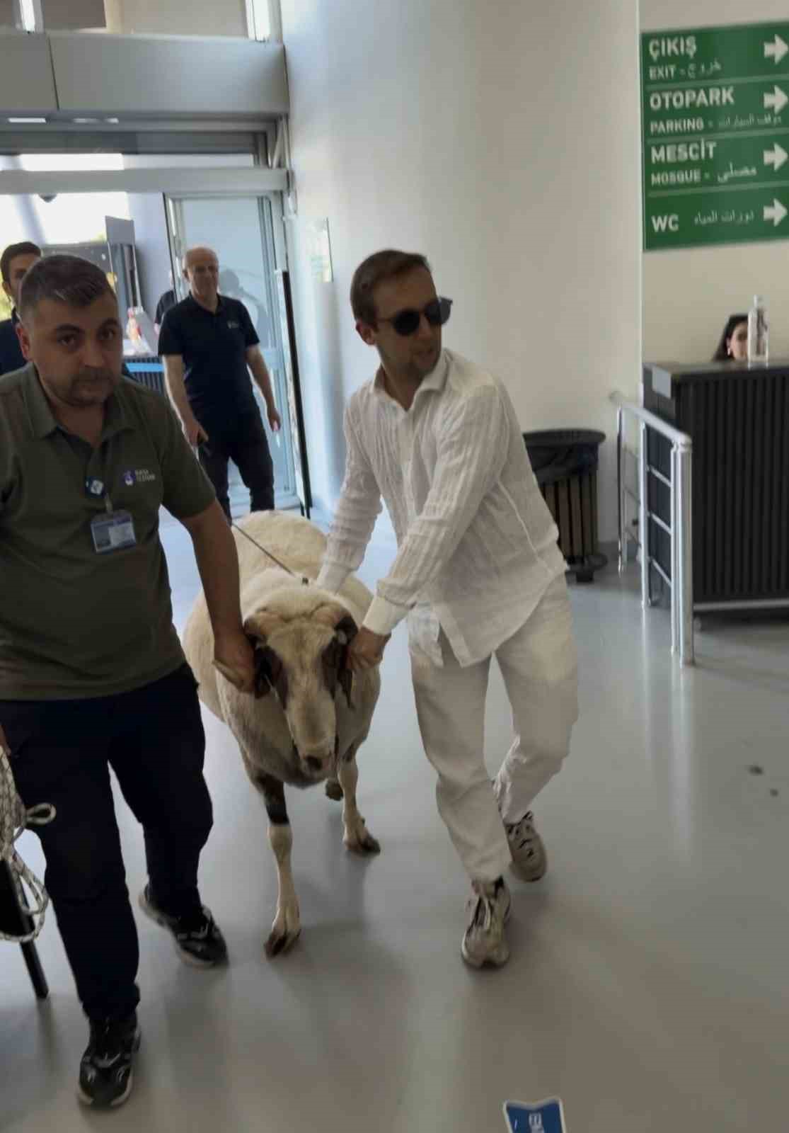 bayramda kesecegi kocla teleferik keyfi yapti 1 P8iYjvHf