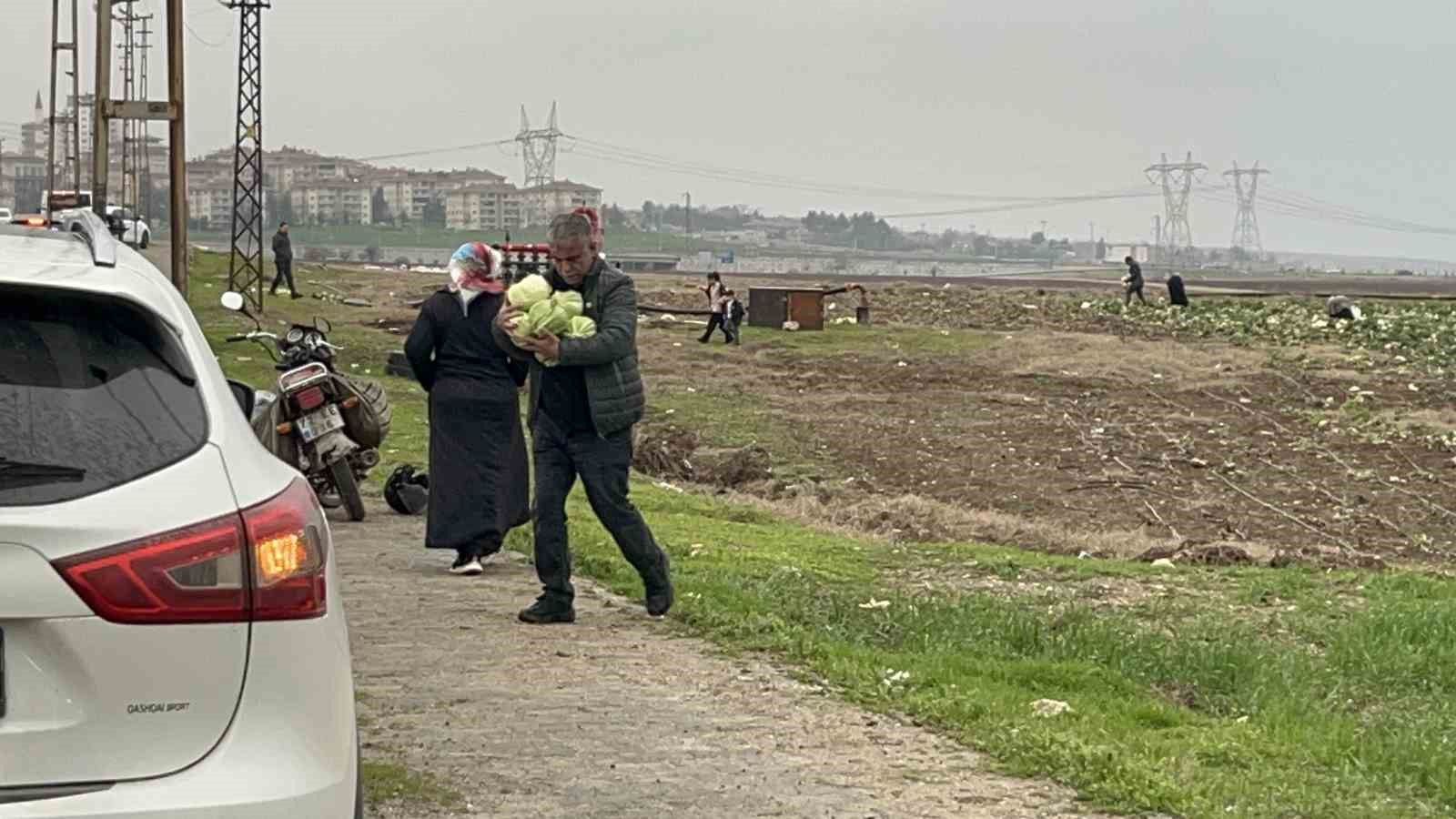 bedava lahanayi duyan yagmura ragmen tarlaya akin etti 3 O5FQhgmW