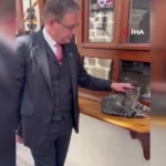 belcika-baskani-wever-ankarada-kedi-sevdi-e5vFUMcd.jpg