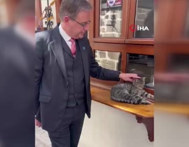 belcika-baskani-wever-ankarada-kedi-sevdi-e5vFUMcd.jpg