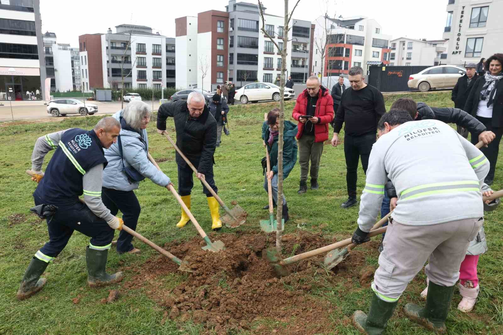 belediye baskanindan yesil alan talebine hizli cevap 1 ilZKicaj