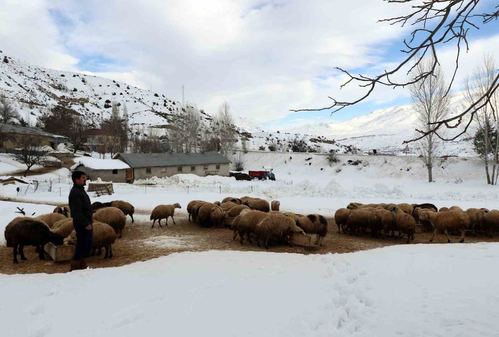 besiciler uykusuz kuzular guvende 2 fyw7IR6c