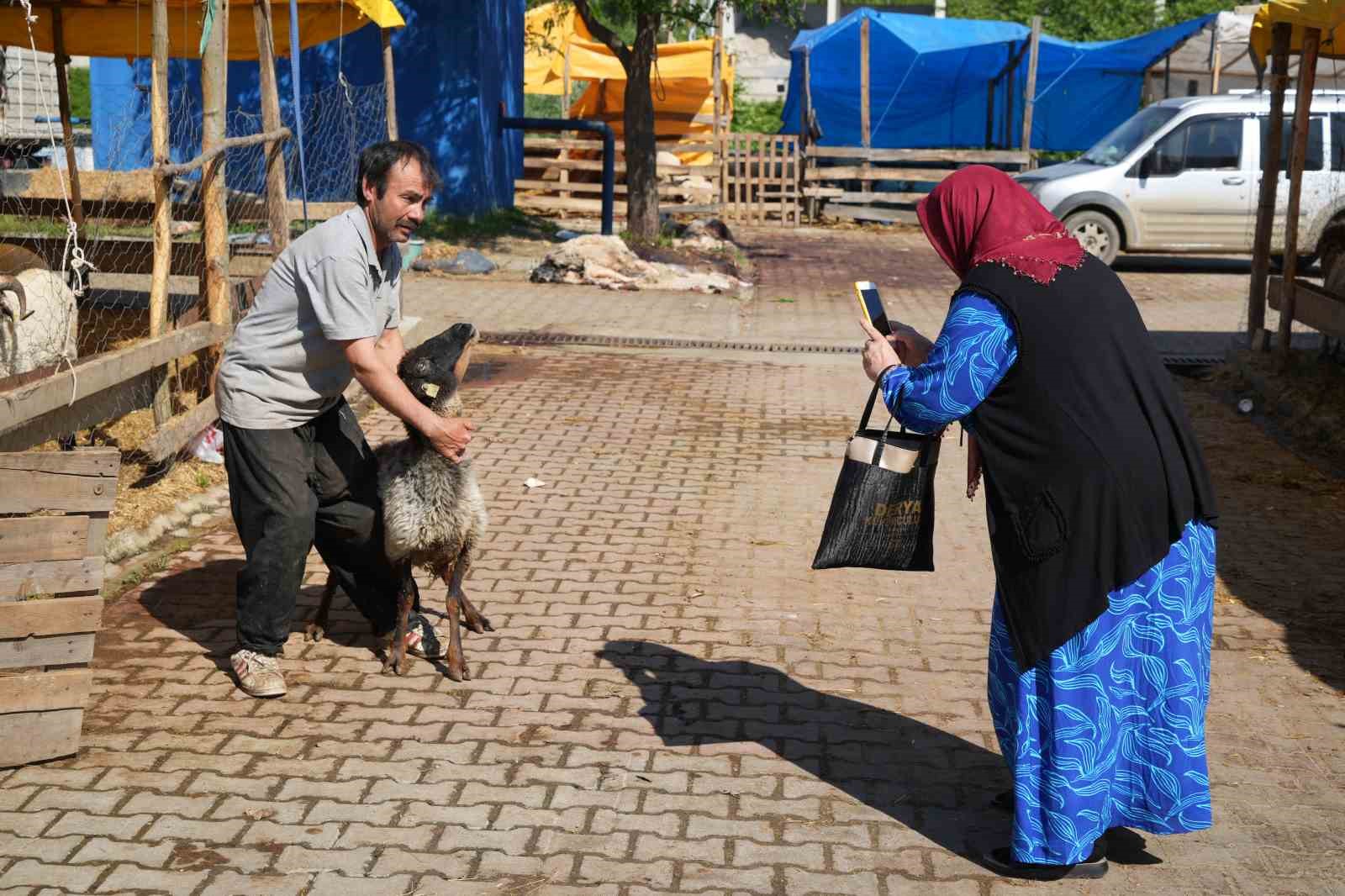 besicilerin kurbanda da mesaisi suruyor 0 DpyDbqcv