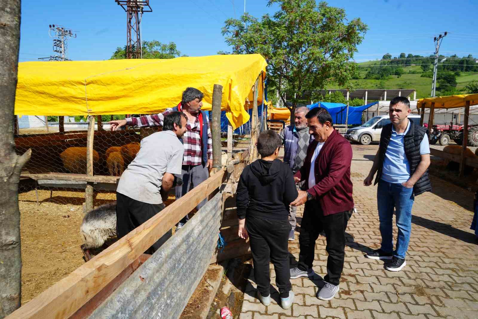 besicilerin kurbanda da mesaisi suruyor 4 Yc7Yw2ee
