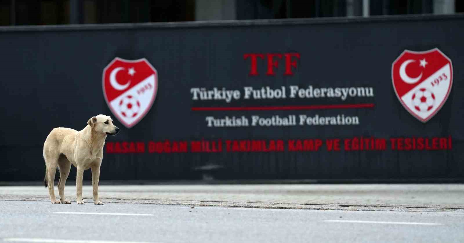 besiktas baskani serdal adali rivada 2