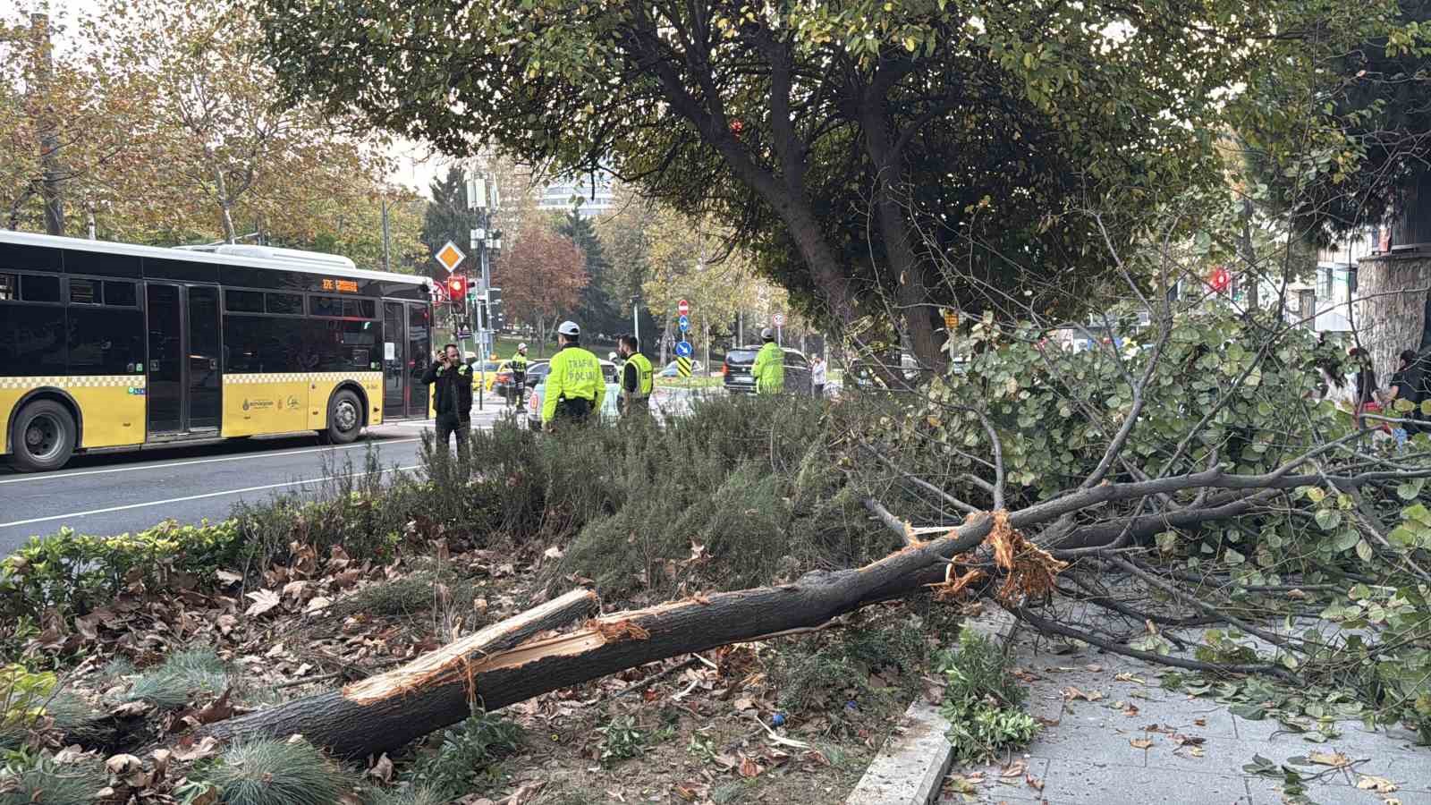 Beşiktaş’ta İETT şoförünün hayatını kaybettiği kazada otobüs olay yerinden kaldırıldı 7 besiktasta iett soforunun hayatini kaybettigi kazada otobus olay yerinden kaldirildi 3 nMjy6y1d