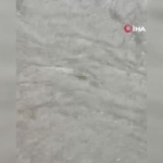 besiktasta-saganakta-can-pazari-sulara-kapilmak-uzere-olan-kadini-vatandaslar-kurtardi-ikmtK3ha.jpg