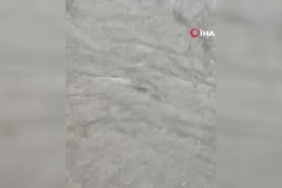 besiktasta-saganakta-can-pazari-sulara-kapilmak-uzere-olan-kadini-vatandaslar-kurtardi-ikmtK3ha.jpg