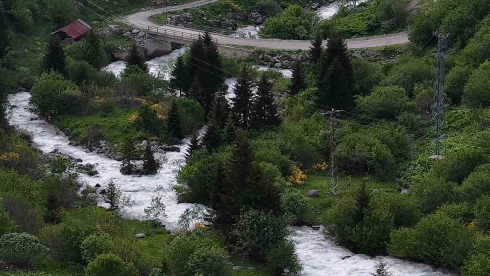 beyaz ortu kalkti rize yaylalari yesile burundu 0 jphYDEzD
