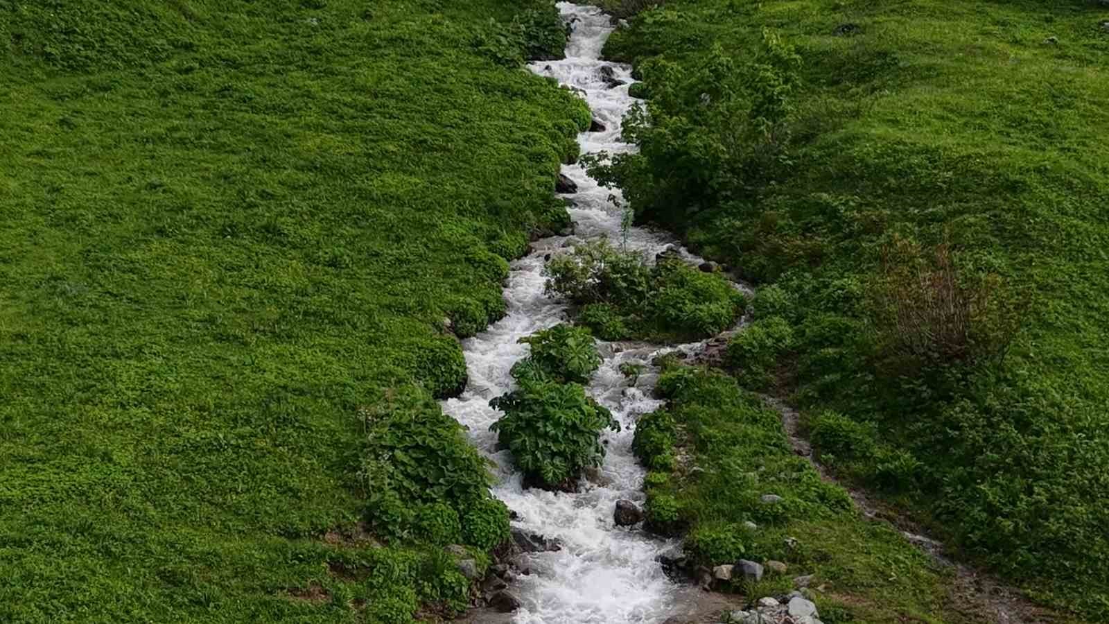 beyaz ortu kalkti rize yaylalari yesile burundu 3 9J2BfIvz