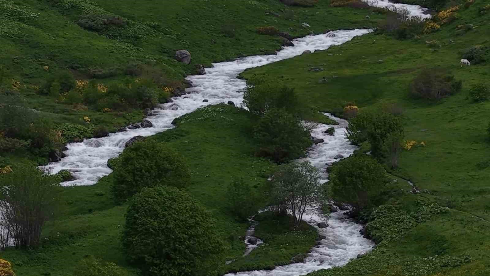 beyaz ortu kalkti rize yaylalari yesile burundu 4 5NnDjZtz