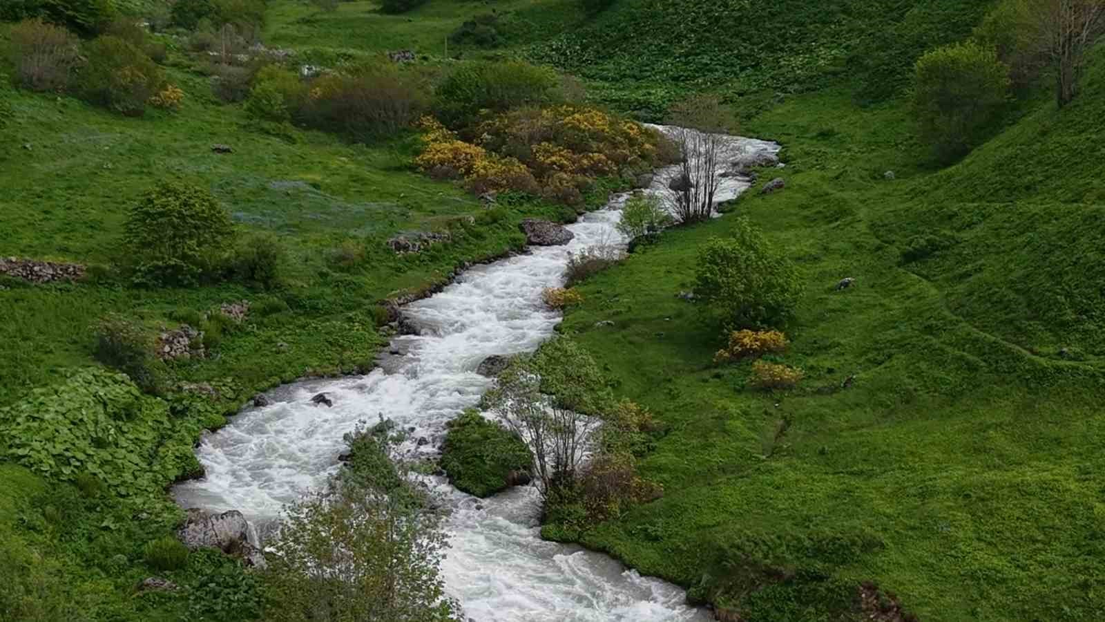 beyaz ortu kalkti rize yaylalari yesile burundu 6 HLI9YpYW