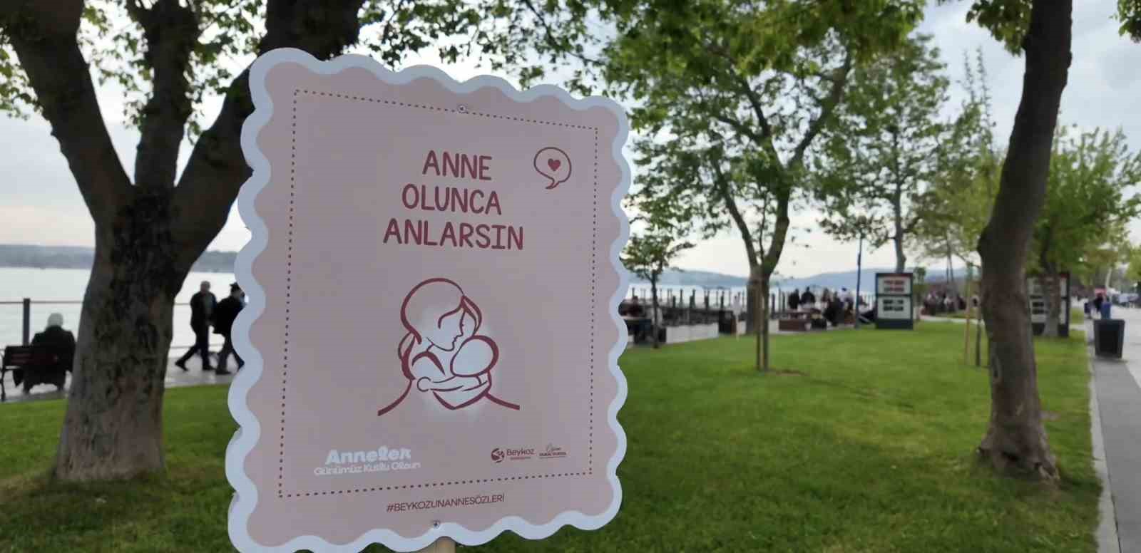 beykoz sokaklarinda annelerin izleri yasatildi 3 7DtLghcN