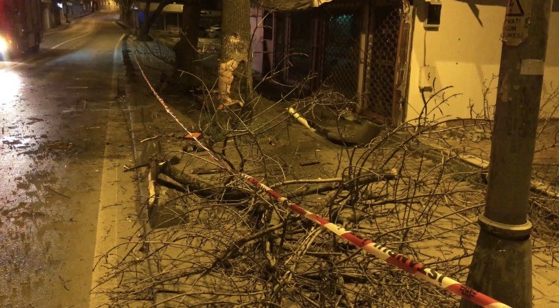 Beykoz’da ehliyetsiz sürücünün kullandığı otomobil ağaca çarpıp yola savruldu: 2 yaralı 7 beykozda ehliyetsiz surucunun kullandigi otomobil agaca carpip yola savruldu 2 yarali 3 Csu6LmAC