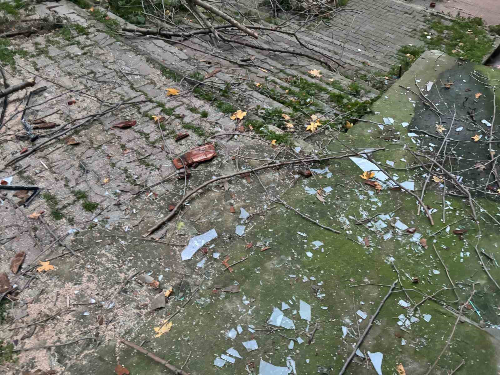 Beyoğlu’nda ağacın kırılan dalları binanın üzerine düştü 4 beyoglunda agacin kirilan dallari binanin uzerine dustu 0 6B5C5E4S