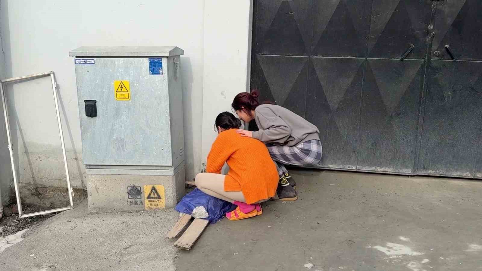 beyoglunda yanginda olen kedisinin basinda sinir krizi gecirdi 0 X4Bne4wJ