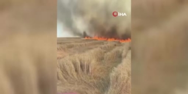 beypazarinda-bin-500-donum-ekili-arazi-kul-oldu-PPUcXuXp.jpg
